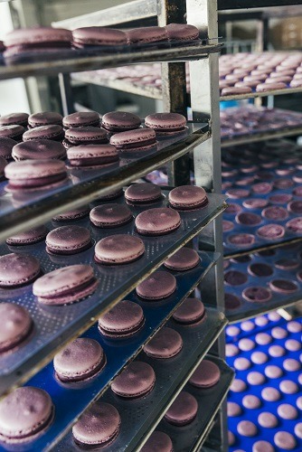 Frisch gebackene Cassis-Macarons in Förmchen in der Backstube der Pâtisserie Élysée in Hannover